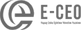 E-CEO